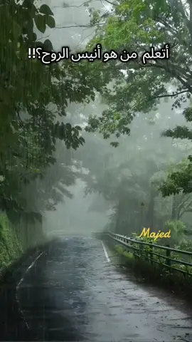 أتعلم  مـن هـو أنـيـس الـروح !        أنيس الروح يختلف تمامًا عن         الصديق .أو الحبيب  أو القريب    هــو  تـوأم الـروح و بٕلسم جـروحها    هــو  ضـوء عتمة القلب وسـعـادتـه، فقط هو معاكَ   لِيُؤنس بكَ وَ يُأْنِسك ويخاف عليكَ، و يهتم بك   ويسأل عنكَ كلما غبت ...  يود معرفة أخباركَ ليس لحاجة أو مصلحة فقط لـيـطـمـئن عليكَ يَشعر بحزنكَ عندما تكون حزينًا.. فيتألم لأجلكَ ... و يسعد لسعادتك..   كثيرون هم من يمرون على ضفاف شواطئ قلوبنا  لكن قليل من ... يـلـمسـون الأعـمـاق .. #foryou #اكسبلور #اقتباسات #fyp #ti̇ktok 