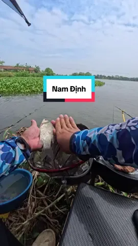 Hồ bán tự nhiên? - Nam Trực, Nam Định #cauca #fishing #xh 