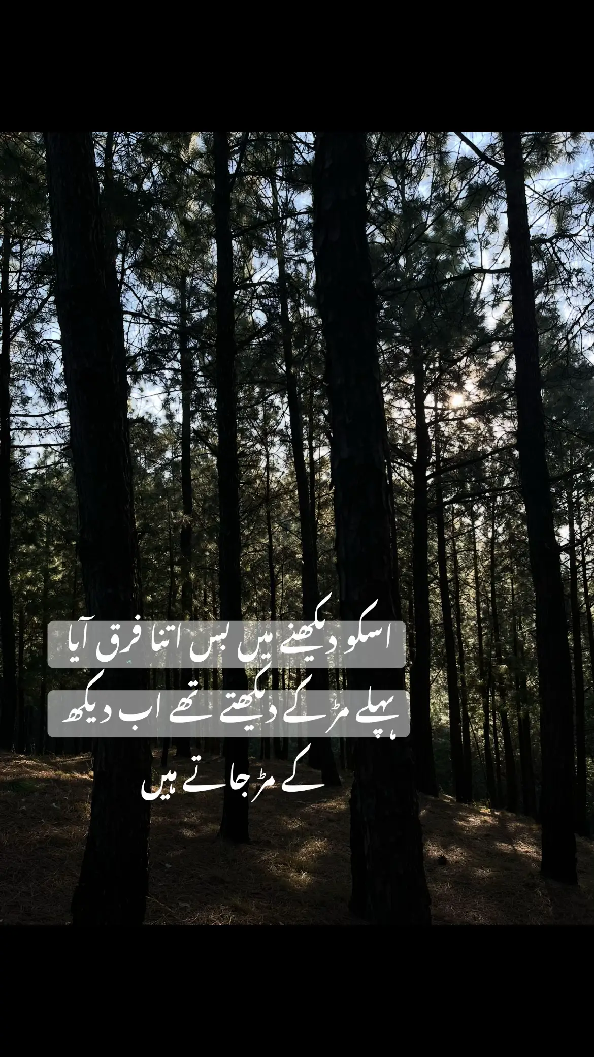 #foryoupageofficiall #fyp #creatorsearchinsight 