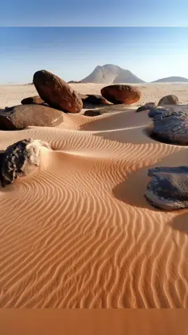 #creatorsearchinsights#tiktok#nature#photographysahara🇩🇿 