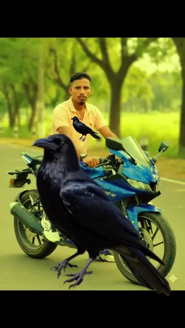 #tik Tik Tok horriet viral video#ভাইরাল_করে_দাও #viraltiktok 