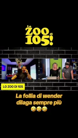 Lo zoo di 105 - la follia di wender dilaga sempre più 🤣 #lozoodi105 #viral  #fyp  #perte  #neiperte 