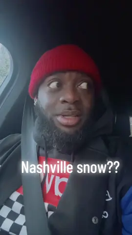 Girl u know that ain’t no dang snow flakes! #Nashville #TN #snow 