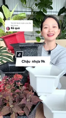 Trả lời @Bà Nội Kem #hongtuyengiadung #xuhuong #giadungtienich #chậu 