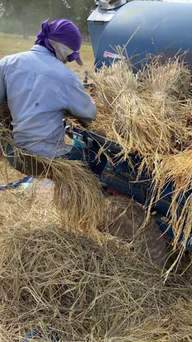 #บ้านนอกคอกนา #ฟิดดดシ #วิวบ้านนอก🍃🌾 #อย่าปิดการมองเห็น 😎