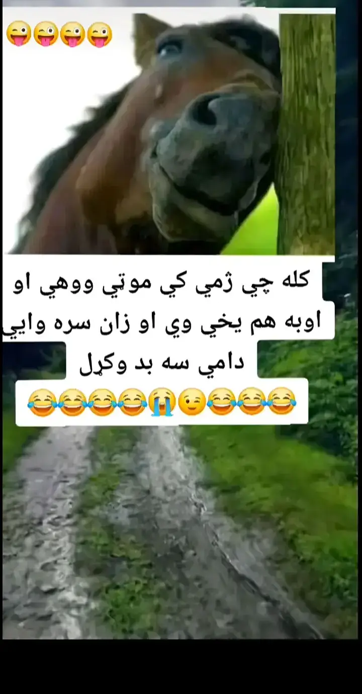 دا می سا بد وکڑل  #fanny🤣🤣😐🤣 #anfeezemyaccont #hhhhh #virla #fybシviral_video_tiktok 