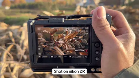 Shot on nikon ZR #nikon #mayanh #chupanh #photography #xuhuong 