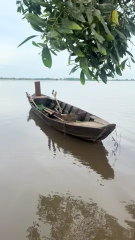 Bình yên quá nhưng lại nhớ…#tamtrang 