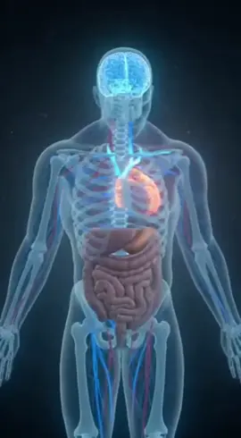 Anemia#anemia#medio#advertencia#salud#tiktokmedico