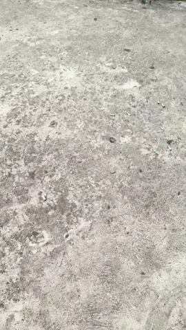 ollon lagi⛰️                                              #pemandangan #alam #toraja 