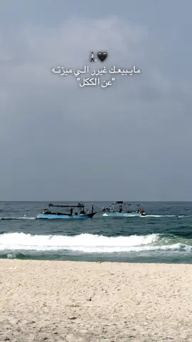 #مشاهير_تيك_توك #جبراتت📮 #بحر_العريش #هاشتاق #مصر_السعوديه_العراق_فلسطين 