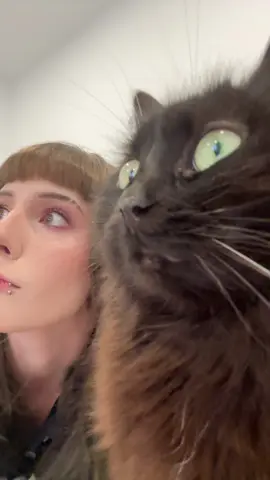 #кошка #slavic #skinheadgirl #fyp #recommendations 