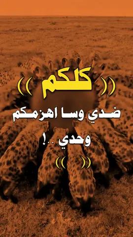 #عبارات #عبارات_ابو_ذياب #مالي_خلق_احط_هاشتاقات 