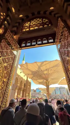 please report me#for you #for you page