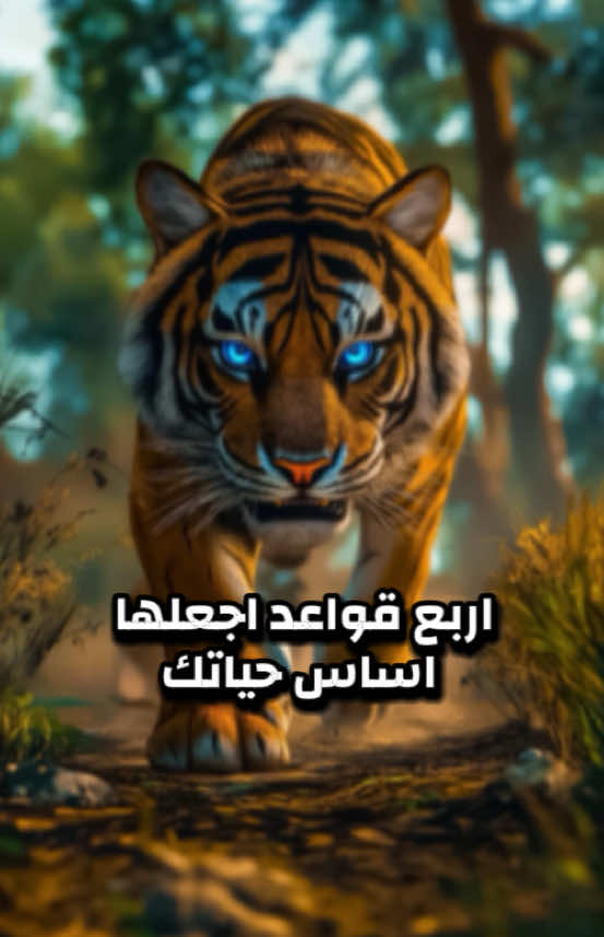 جزء 601/اجعل الصمت رفيقك حين لا تُفهم، والصدق سلاحك حين تُختبر، والصبر درعك حين تُبتلى، والتوكل زادك في كل طريق…؟ #اقتباسات_عبارات_خواطر #كلمات_من_ذهب #تحفيزات_إيجابية #محتوى_هادف #اكسبلور @listingo.VIP 