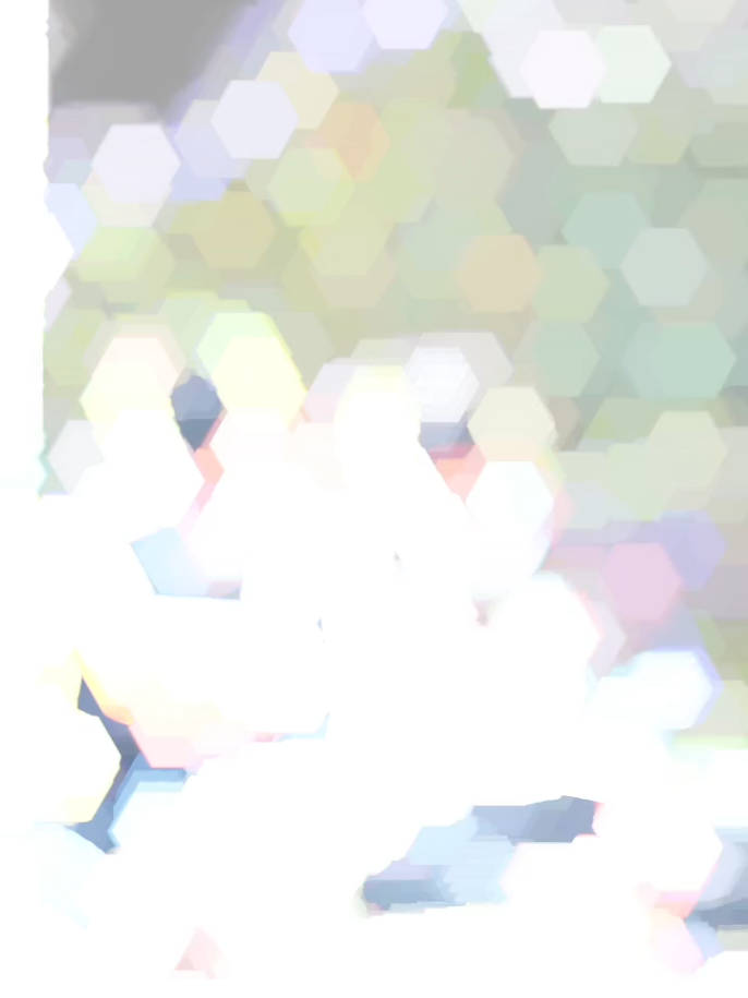 ##indian #rels #alightmotion #foryoupage #trending 