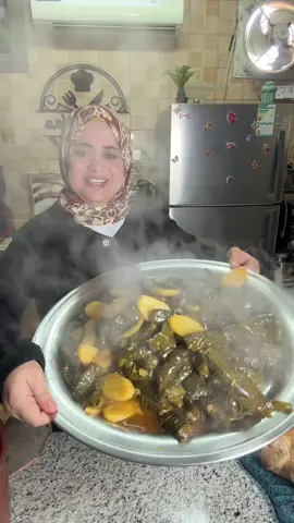 تسوية ورق العنب في حلة الضغط الكهربا #ورق_عنب #ورق_عنب_حامض #قدور #طبخ #وصفات 