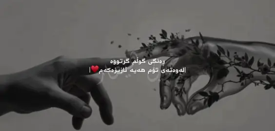 ڕەنگی گوڵم گرتووە🌹.#xree_hevar #vx_xre #foryou 
