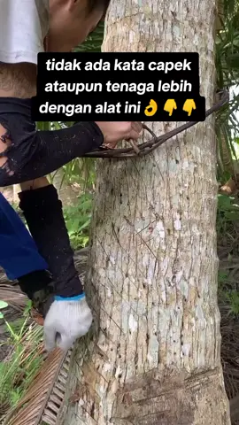 #alat #fyp #pohonkelapa #alatpanjat 