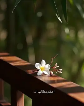 #اللهم_صلي_على_نبينا_محمد  #دعاء #الله #الجنه #islamic_video 