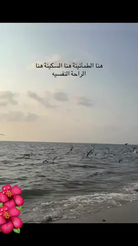 #راحه_نفسيه #القرآن_الكريم 