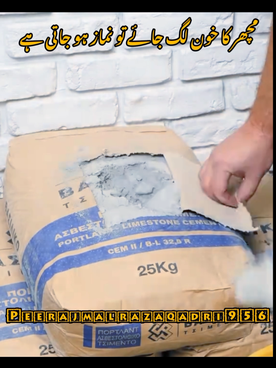 مچھر کا خون لگ جائے تو نماز ہو جاتی ہے #emotionalbiyan😭😭 #viralmytiktokvideo #unfreezemyacount #viralmytiktokvideoandforyoupage🤗🥰👑 