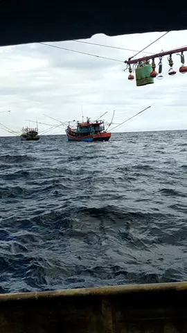 torikum X mang keling