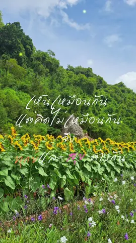 #สตอรี่ความรู้สึก #CapCut 