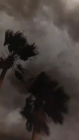 { وَالَّذِينَ كَفَرُوا لَهُمْ نَارُ جَهَنَّمَ لَا يُقْضَى عَلَيْهِمْ فَيَمُوتُوا وَلَا يُخَفَّفُ عَنْهُمْ مِنْ عَذَابِهَا كَذَلِكَ نَجْزِي كُلَّ كَفُورٍ } [سُورَةُ فَاطِرٍ: ٣٦] #ادريس_ابكر  #والذين_كفروا_لهم_نار_جهنم  #قران  #قران_كريم  #سورة_فاطر 