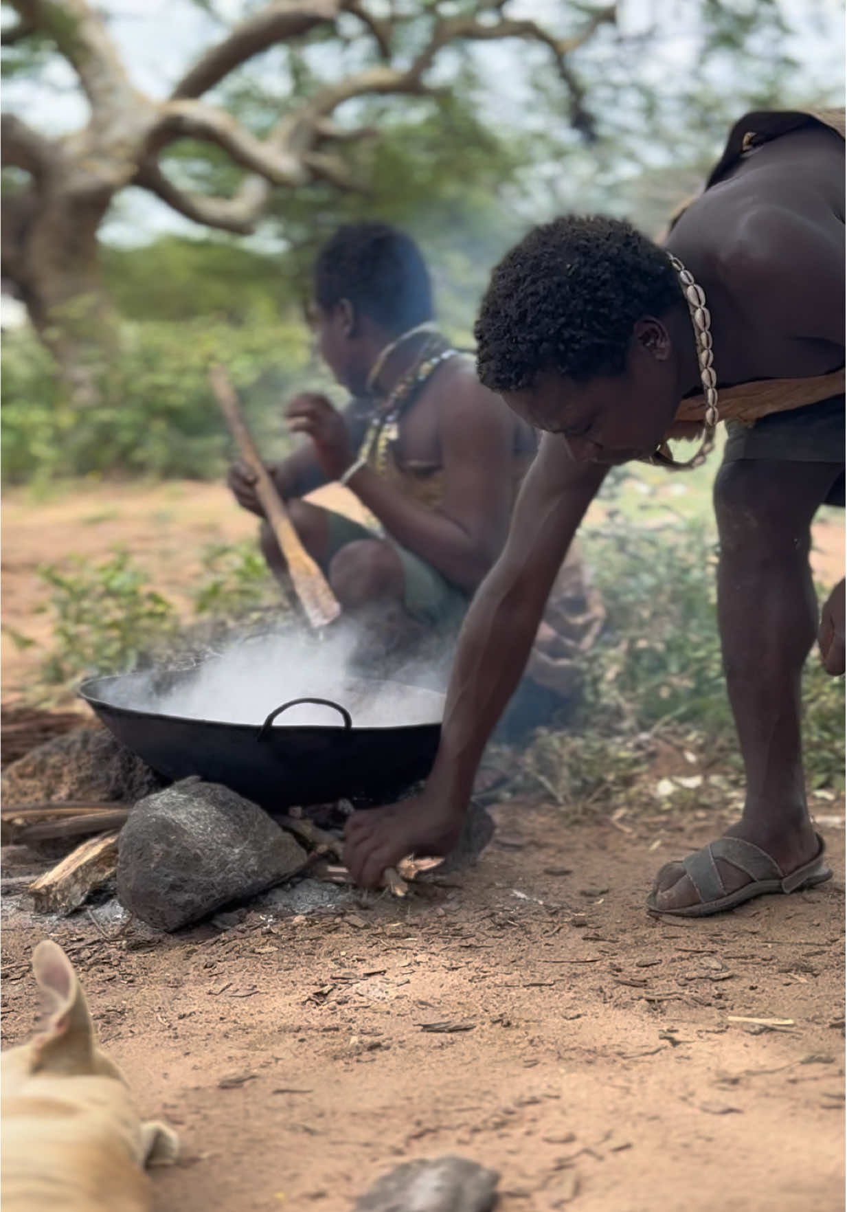 Dudukwe and his Hadzabe friends are cooking together 😇🔥 Teamwork at its best — everyone helping, laughing, and preparing a hearty tribal meal in the wild. Cooking time is always family time for them! #roamingwithvinu #cookingathometiktoktv #dudukwe #tanzaniatiktok 