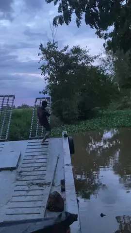 Lấy gỗ súc 🤣@fb