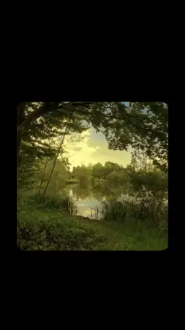 canım anam evdeki tüm kötü enerjiyi kovuyor #fyp 