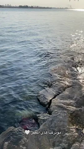 #كورنيش_المعقل #البصره #كورنيش_شط_العرب #fyp 