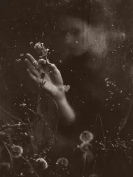 “Berbeda, Tapi Tidak Sendiri” Dulu, aku sering bertanya… kenapa harus aku yang berbeda? Rasa ini membuatku menutup diri... takut pada dunia, takut pada pandangan orang. Tapi perlahan aku belajar, bahwa aku tidak sendiri. Ada yang serupa, yang juga berjuang memahami dirinya. Dan sejak itu, aku mulai berdamai. Kini, aku tak lagi melawan rasa. Aku menulis, aku menerima, aku belajar hidup dengan lebih tenang. Apalagi sejak dia hadir... yang membuatku sadar, bahwa diterima apa adanya adalah bentuk cinta paling indah. Terima kasih, sayangku  @pluviophile🕊 — 𝓐𝓾𝓽𝓸𝓹𝓱𝓲𝓵𝓮🪽 #lovestory #dreamyaesthetic #puisivisual #friendship #autophile #pluviophile