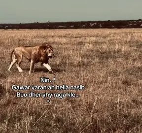 Hmm….#fy #somalitiktok #fy #lander #foryoupage 