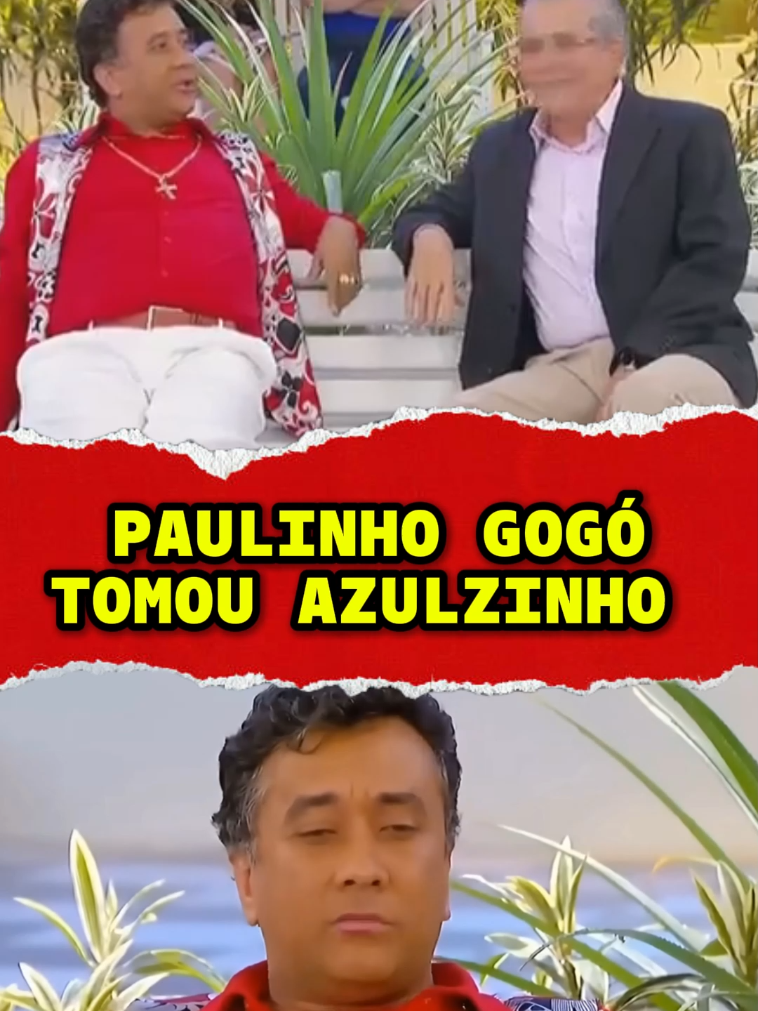 PAULINHO GOGÓ E O AZULZINHHO