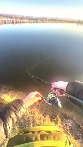 #рыбалка #рыбалкаудалась #щука #сом #эдит #окунь #fyp 