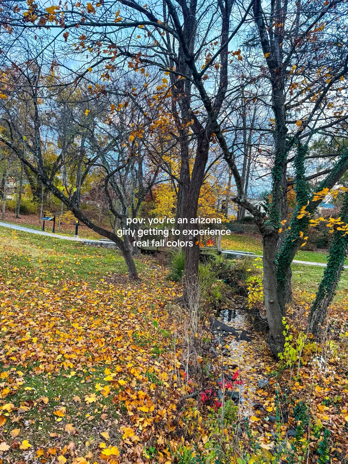 We love some fall color 🫶🏼🍁