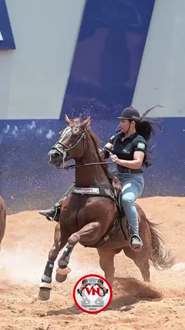 O dia que Jenniffer Provou ser a melhor vaqueira do Brasil #vaqueira #vaquejada #x1vaquejada #vaquejadabrasil #vaquerama