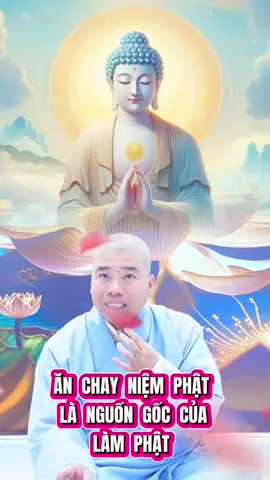 A DI ĐÀ PHẬT Cư Sĩ Hiền Đức Chia Sẻ Phật Pháp Tại Đạo Tràng Niệm Phật Không Trung ZOOM #xuhuongtiktok  #xuhuong  #adidaphat  #nammoadidaphat  #nammoquantheambotat                        