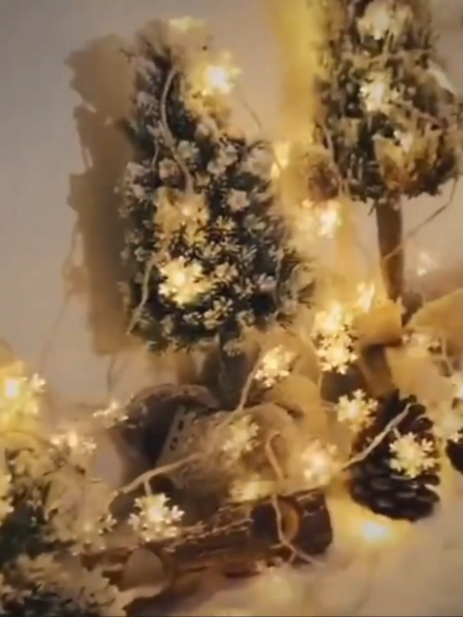 Christmas decorations, Christmas lights#Christmas #ChristmasDecorations #ChristmasLights #ChristmasAtmosphere