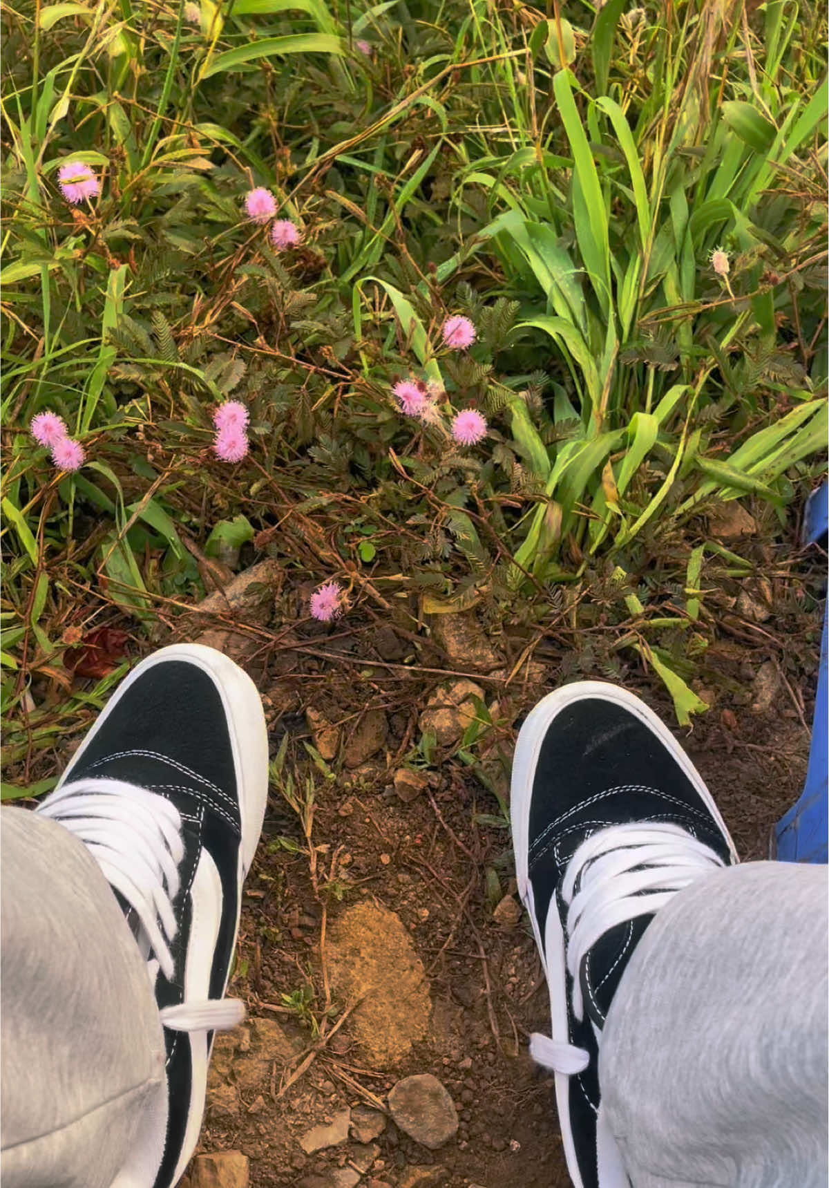 nghinh phong #fypシ゚ #vungtau 