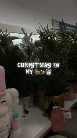 New York >> ☃️ @Marshalls  #timessquarenyc #christmasseason #christmastiktok #november1st #christmascountdown  @target @Walmart @Dollar Tree @Johanna Parker Design @At Home @Walmart World @Spirit Halloween @HomeGoods @Burlington @TJ Maxx @Hobby Lobby 