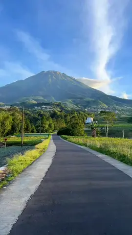 #hijainyanegri lereng gunung Magelang #udara yang sejuk segar 