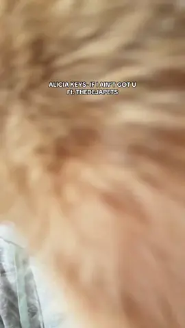 #livehighlights #tiktoklive #rnbcover #aliciakeys #fypviralシ゚ 
