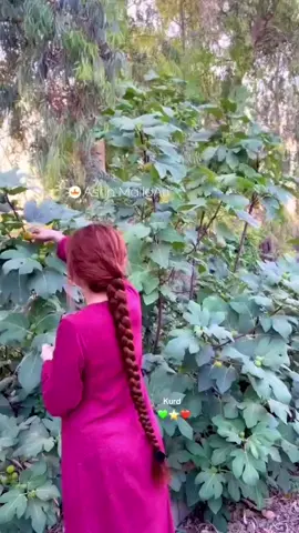 #صعدو_الفيديو #كسبلور @Asrinmalaari 