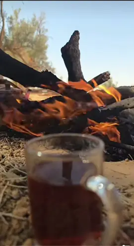 قصايد #شيلات #خواطر #شعر #اكسبلورexplore #فولو 