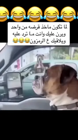 #اكسبلورexplore #👋👋👋