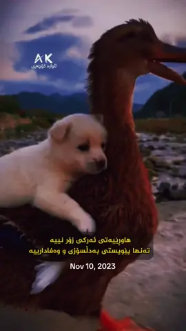 #onthisday #foryou #fyp 