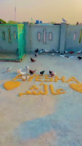 Ayesha #videoname #names #apnaname #video #name 